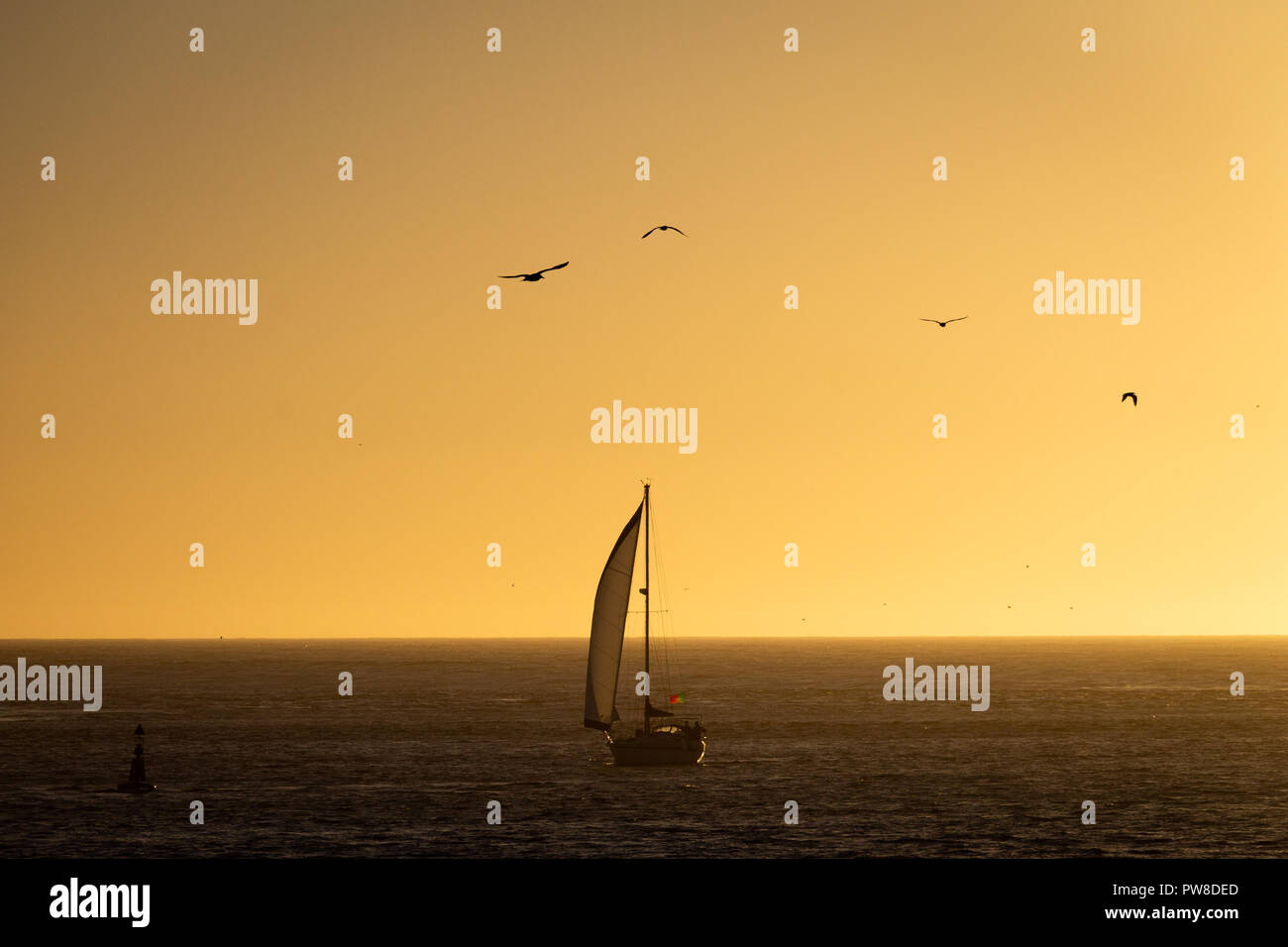 Una barca a vela vele nell'oceano con vari gabbiani vola nel cielo d'oro prima del tramonto. Foto Stock