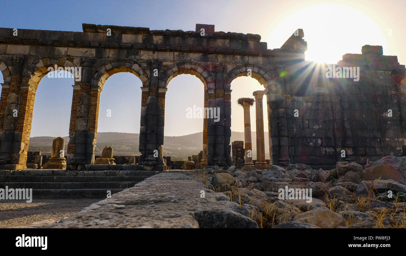 La Basilica di Volubilis, antica città romana del Marocco Foto Stock