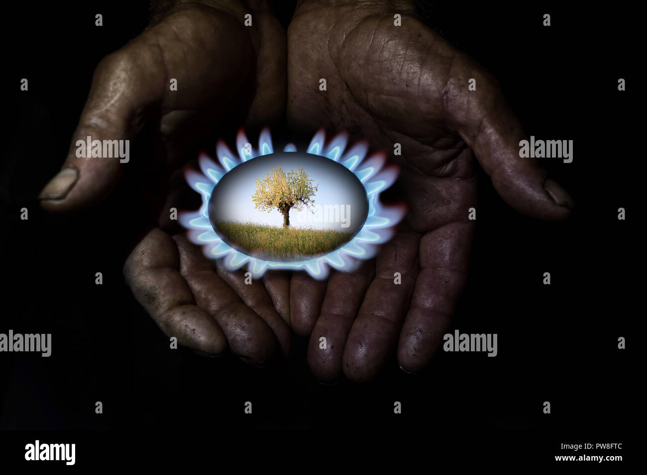 Due vecchie mani mostrano un esempio di conservazione dell'ambiente Foto Stock