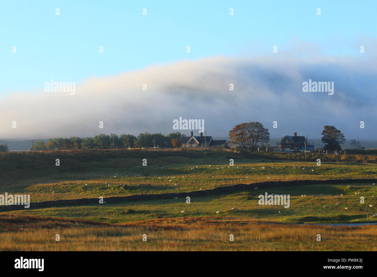 Picco Ingleborough avvolte in una nube di nebbia di laminazione, che segue i contorni della enorme collina nel Yorkshire Dales National Park Foto Stock