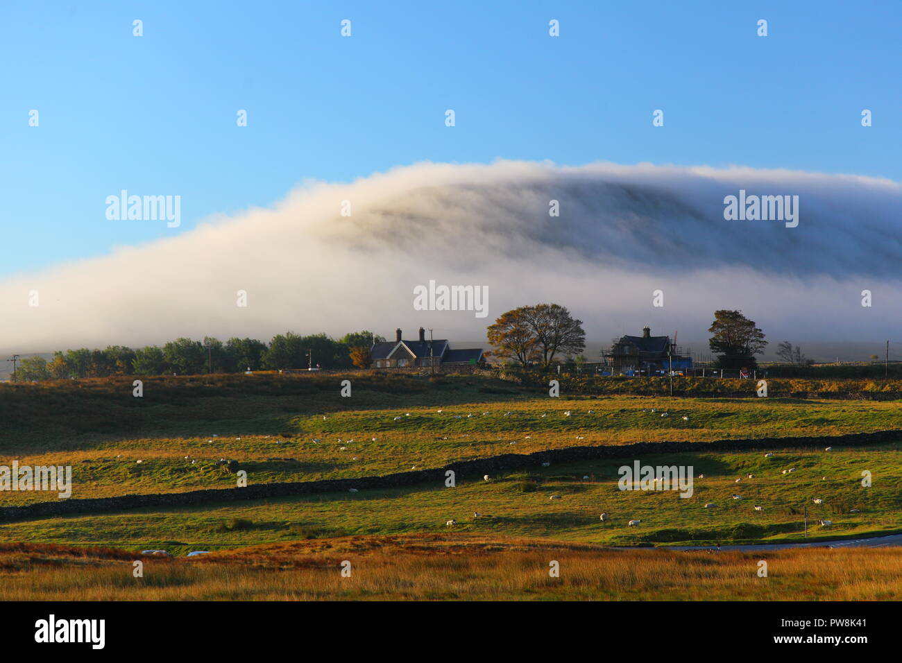Picco Ingleborough avvolte in una nube di nebbia di laminazione, che segue i contorni della enorme collina nel Yorkshire Dales National Park Foto Stock