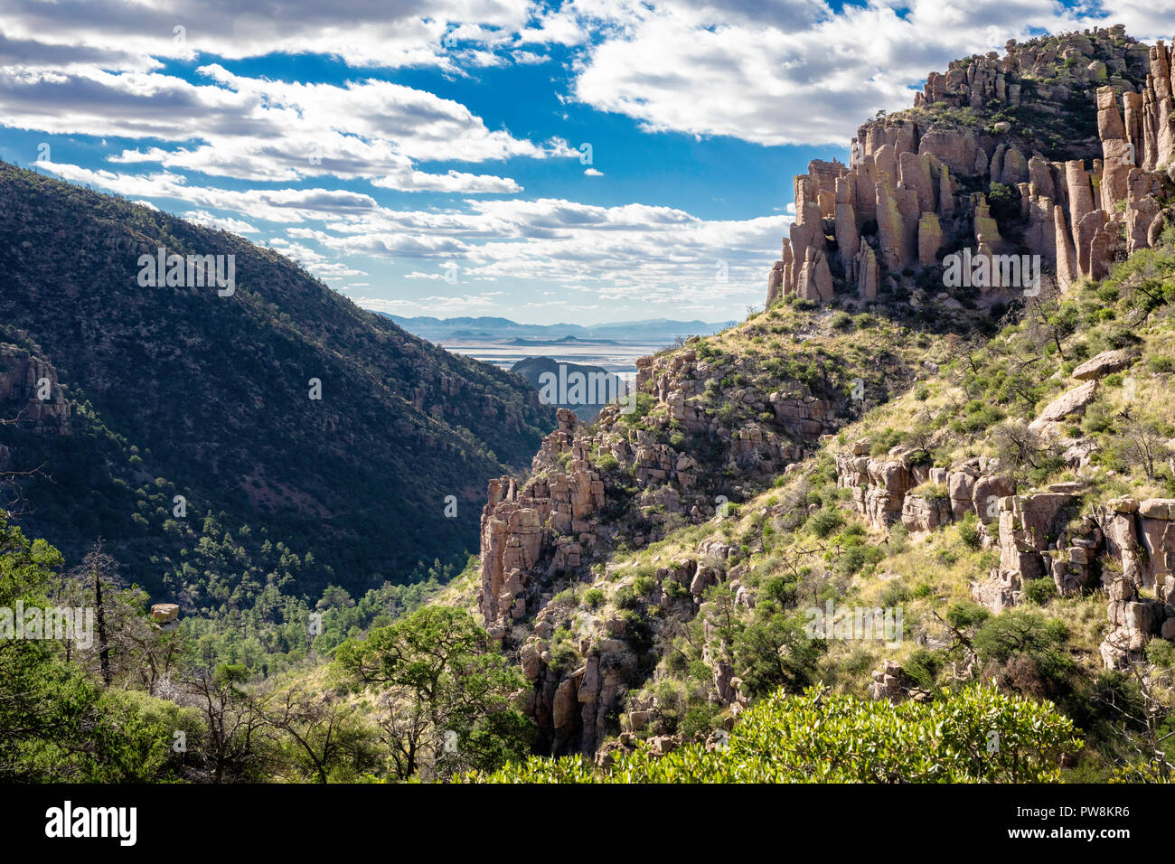 Guardando oltre gli hoodoo di rhyolite fino al lontano fondo della valle sul percorso di Loop Trail dell'Echo Canyon, il monumento nazionale Chiricahua, Arizona Foto Stock