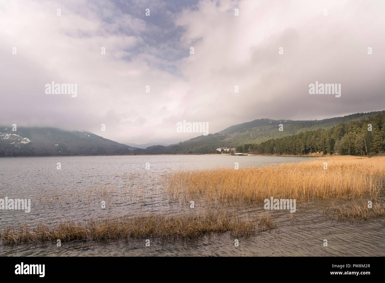 Lago Abant e natura Parco in inverno ma assenza di neve. Foto Stock