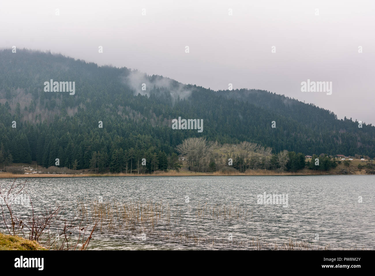 Lago Abant e natura Parco in inverno ma assenza di neve. Foto Stock