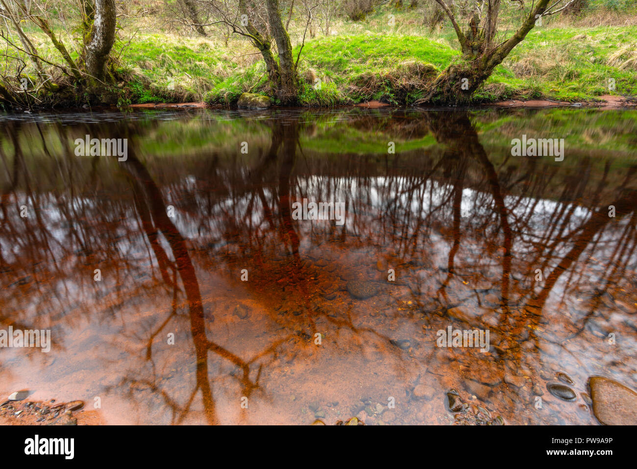 Rosso Sangue di fiume in un verde gorge. Devil's pulpito, Finnich Glen, vicino a Killearn, Scotland, Regno Unito Foto Stock