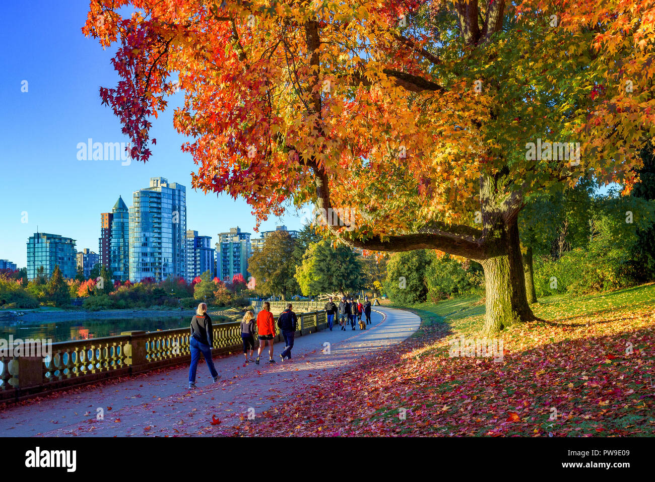 Stanley Park, seawall, Vancouver, British Columbia, Canada Foto Stock