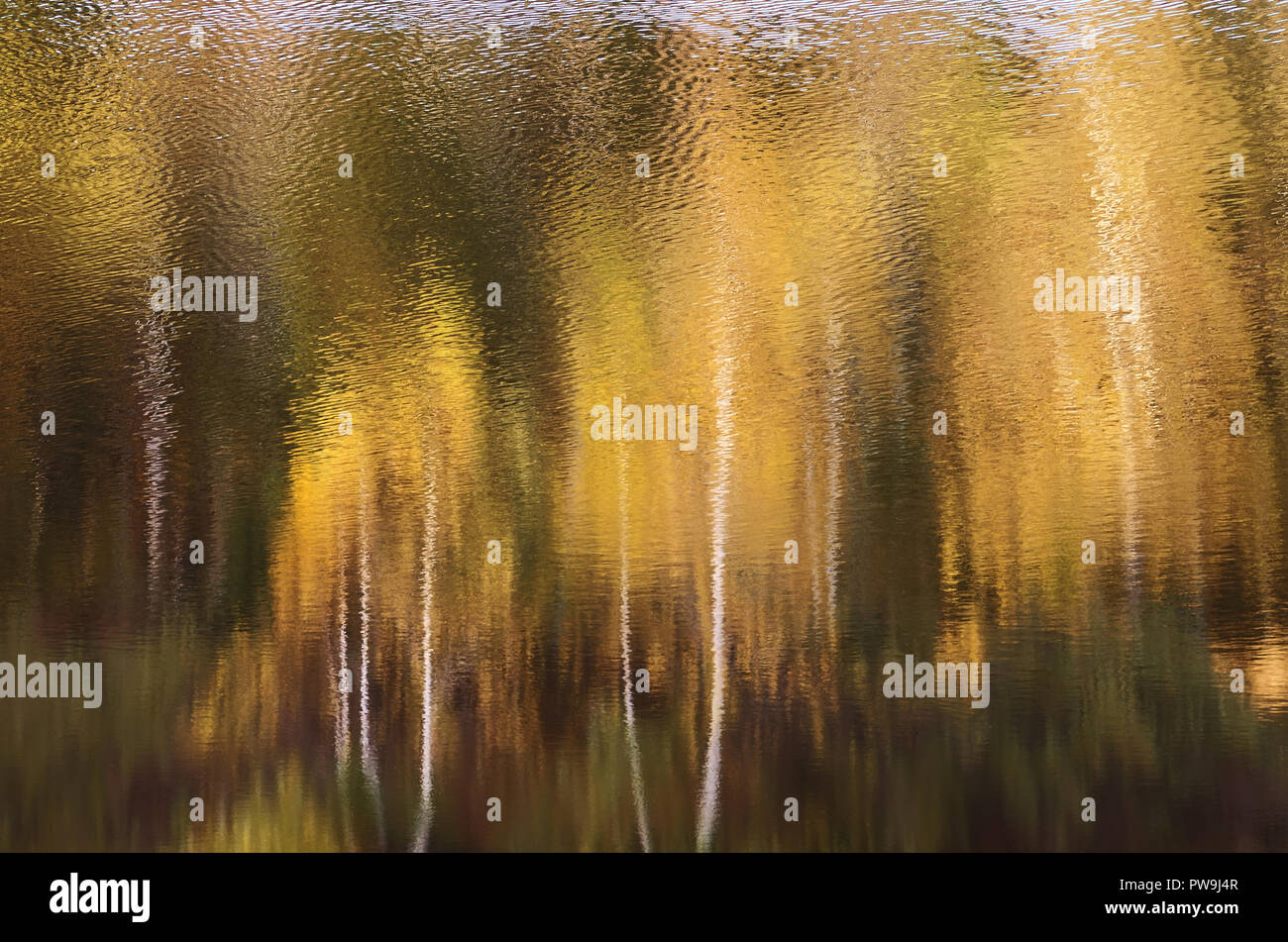 La riflessione di autunno alberi in un lago di acqua. Autunno sfondo. Foto Stock