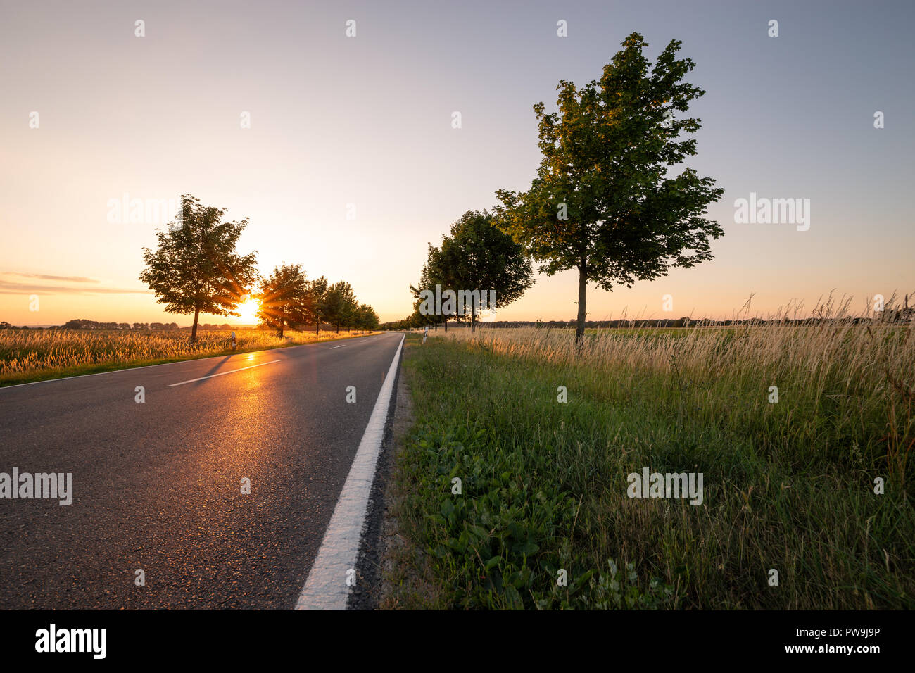 Caldi raggi solari ha colpito una strada, asfalto caldo Foto Stock