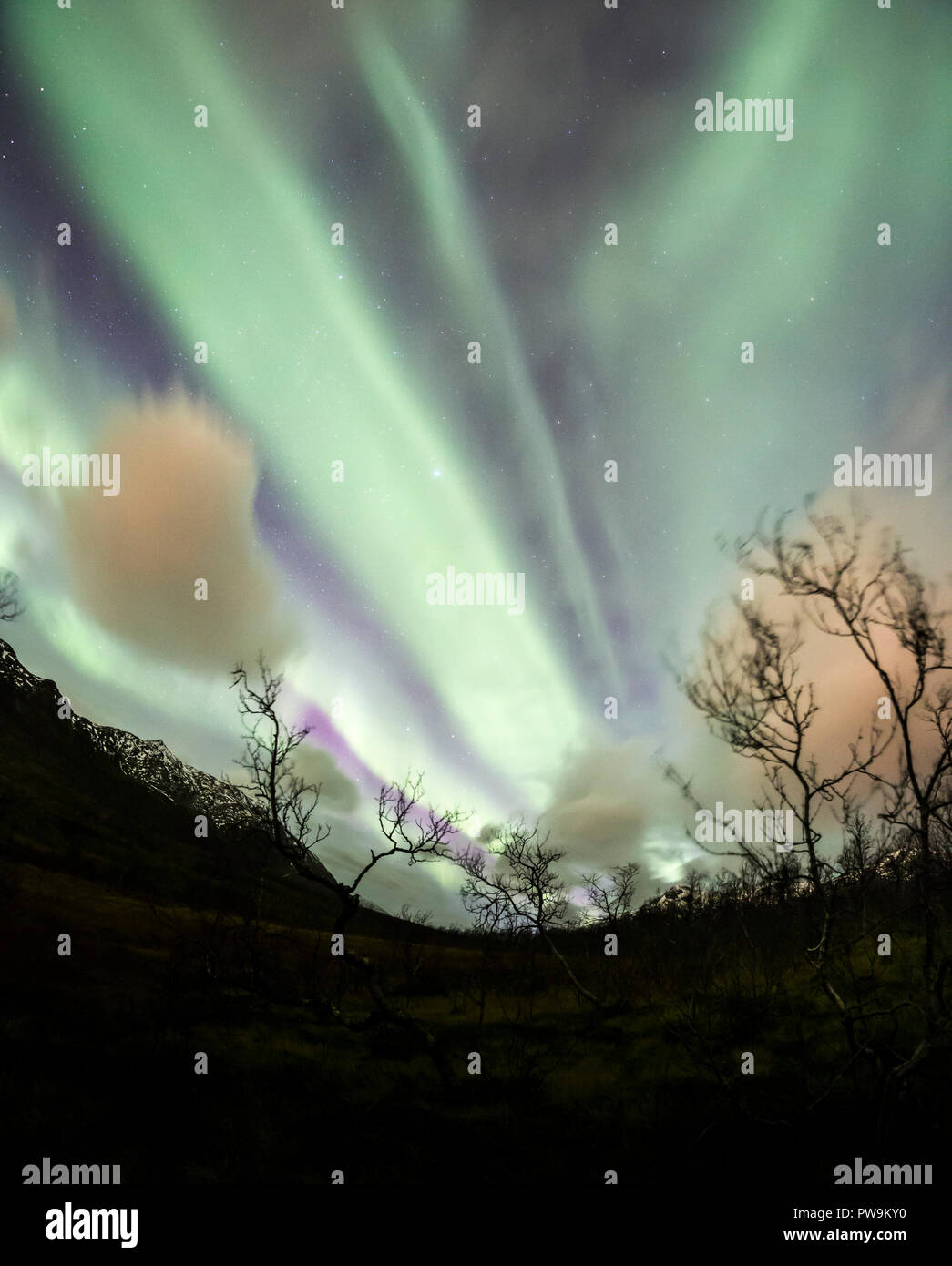 Fish Eye lens aurora boreale o luci del nord, attivo tende colorate in movimento attraverso il cielo notturno a nord del Circolo Polare Artico Kvaloya isola di Troms in Norvegia Foto Stock
