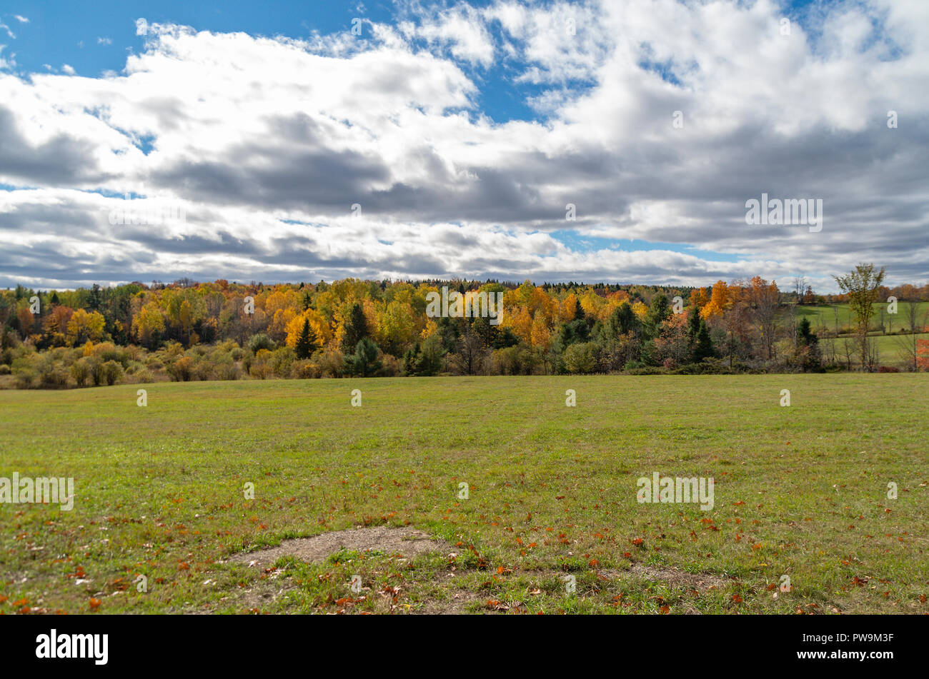Autunno scena da lungo le strade secondarie di Calabogie Highlanfs Foto Stock