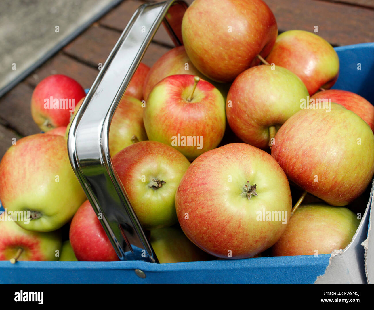 Rosso/arancione di mele Malus domestica 'Braeburn' Foto Stock