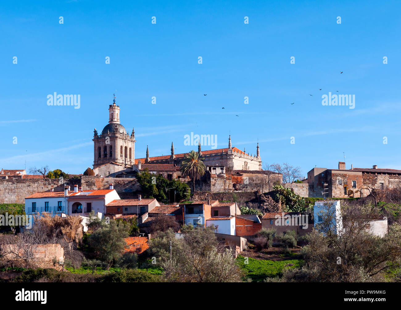 Catedral (Santa María de la Asunción) de Coria. Cáceres. Extremadura. España. Foto Stock