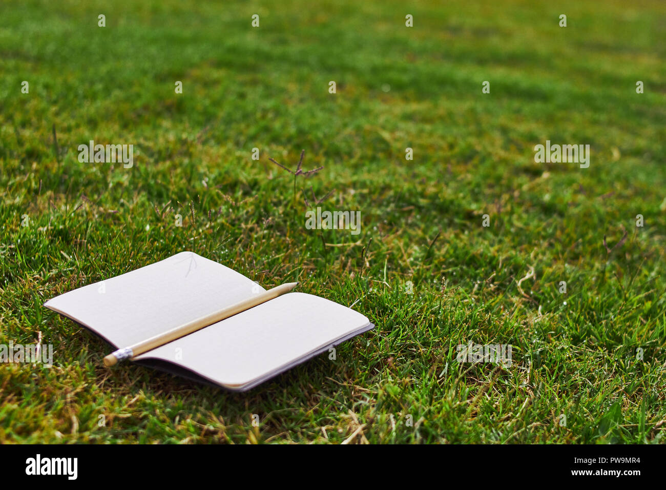 Notebook e matita su l'erba in un parco Foto Stock