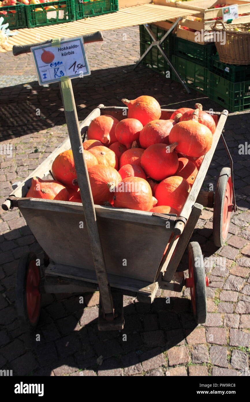 Hokkaido Kürbis in einem Bollerwagen aufgeschichtet, Mit einem Schild mit dem deutschen Hokkaidokürbis Testo, Herstellungsland eigen, kg, 1,50, klasse Foto Stock