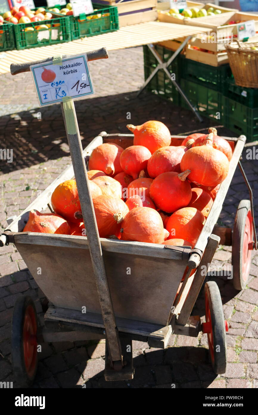 Hokkaido Kürbis in einem Bollerwagen aufgeschichtet, Mit einem Schild mit dem deutschen Hokkaidokürbis Testo, Herstellungsland eigen, kg, 1,50, klasse Foto Stock