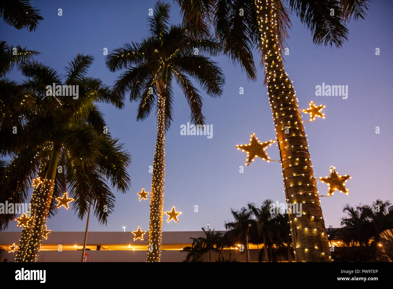 Natale Miami.Florida Fl Sud Miami Beach Sobe Municipio Edificio Palme Crepuscolo Sera Luci Di Natale Vacanze Invernali Stagione Stagionale Decorazione Foto Stock Alamy