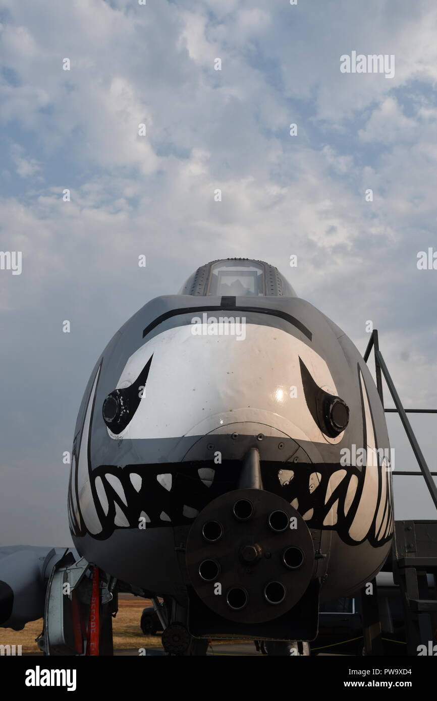 La Fairchild Republic A-10 Thunderbolt II "Warthog' è un attacco a terra degli aeromobili della US Air Force e Air National Guard. Foto Stock