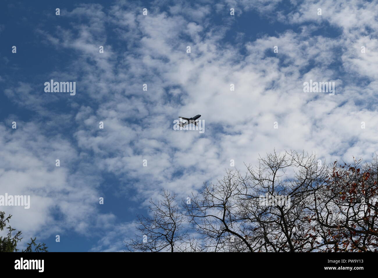 In aereo nel cielo con il cloud e lasciare meno lo sbarco ad albero Foto Stock