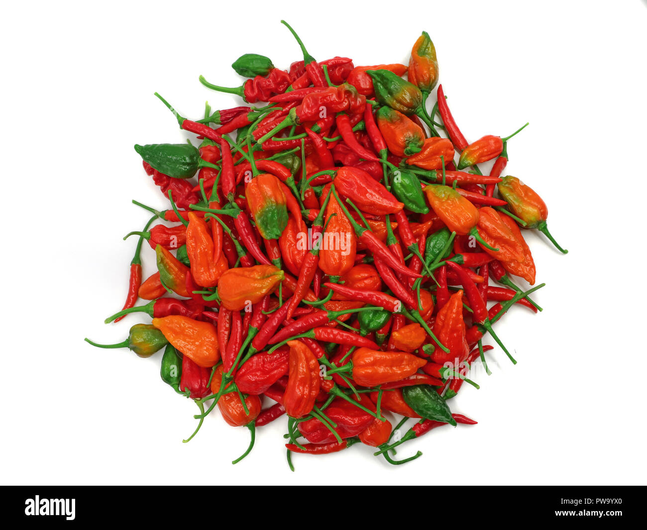 Hot Chili Peppers conformata in un cerchio isolato su sfondo bianco, piccante concetto alimentare Foto Stock