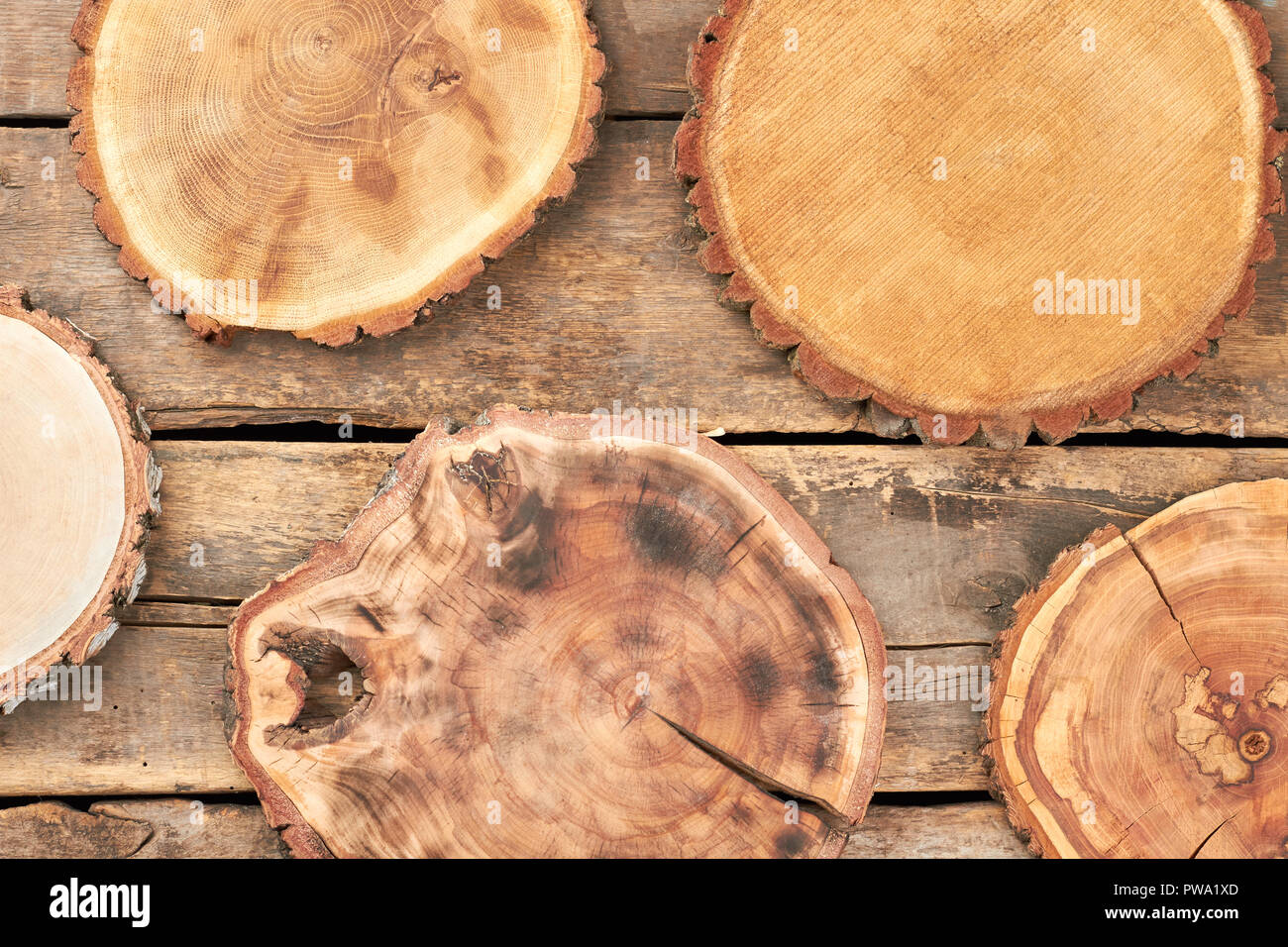 Set di legno naturale fette. Raccolta di dischi di legno rustico sfondo.  Torta rustica di stand Foto stock - Alamy