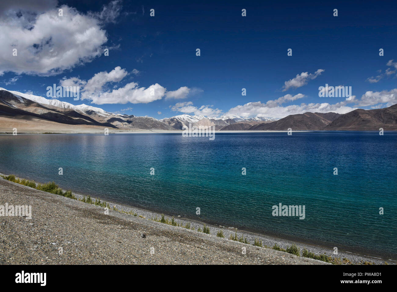 Bellissimo lago Pangong, il gioiello del Ladakh, India Foto Stock
