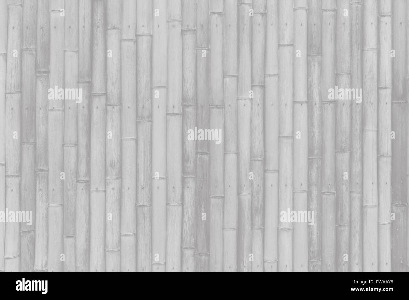 Bianco di bambù parete in legno modello a pavimento per lo sfondo Foto Stock Bianco di bambù parete in legno modello a pavimento per lo sfondo Foto Stock