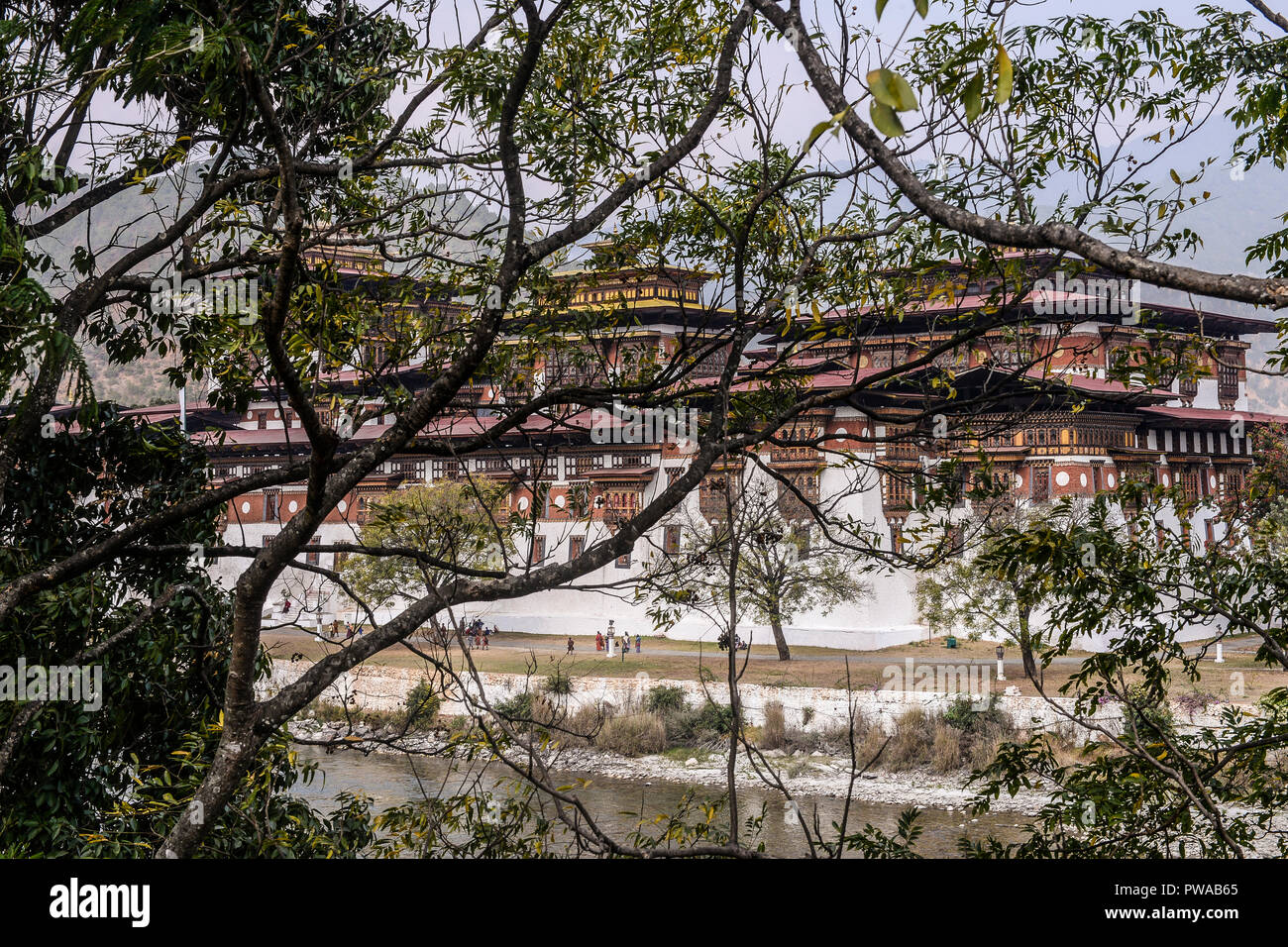 Punakha, Bhutan Foto Stock