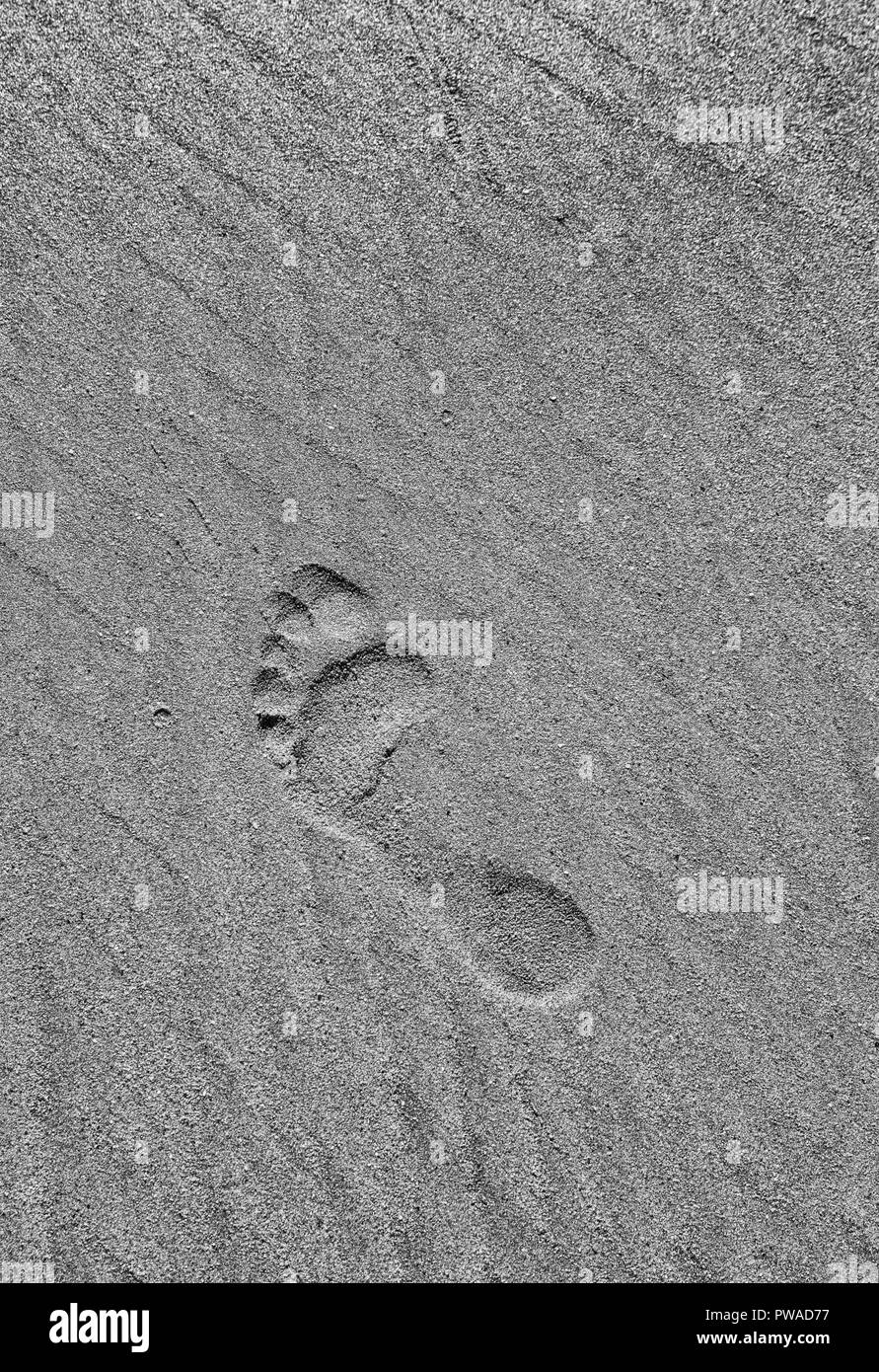 Versione in bianco e nero di footprint nudo in sabbia bagnata. Non lasciare traccia metafora, agitarsi stanza, popoli indigeni. Foto Stock