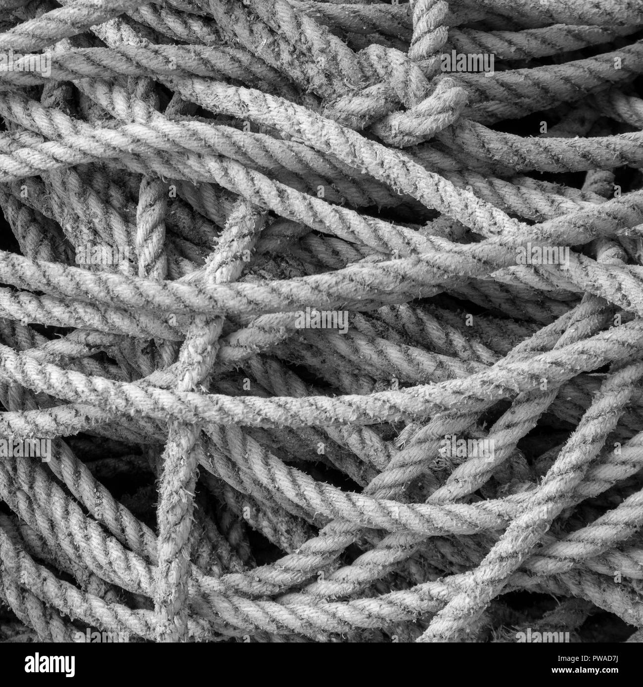 Versione in bianco e nero dell'immagine a colori, di una pila di corde di pescatori. Metafora 'data abbastanza corda', aggrovigliamento. Foto Stock