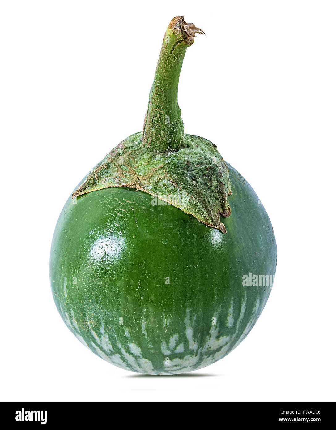 Melanzane tailandesi Kermit, o Lao verde-striped melanzane isolato Foto Stock