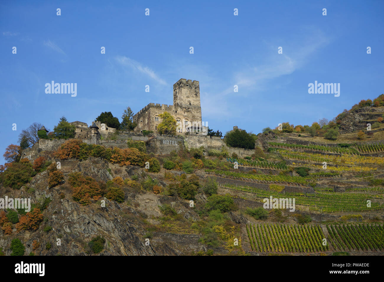 Burg Gutenfels, Kaub, Welterbe Kulturlandschaft Oberes Mittelrheintal, Rhein, Deutschland, Europa Foto Stock
