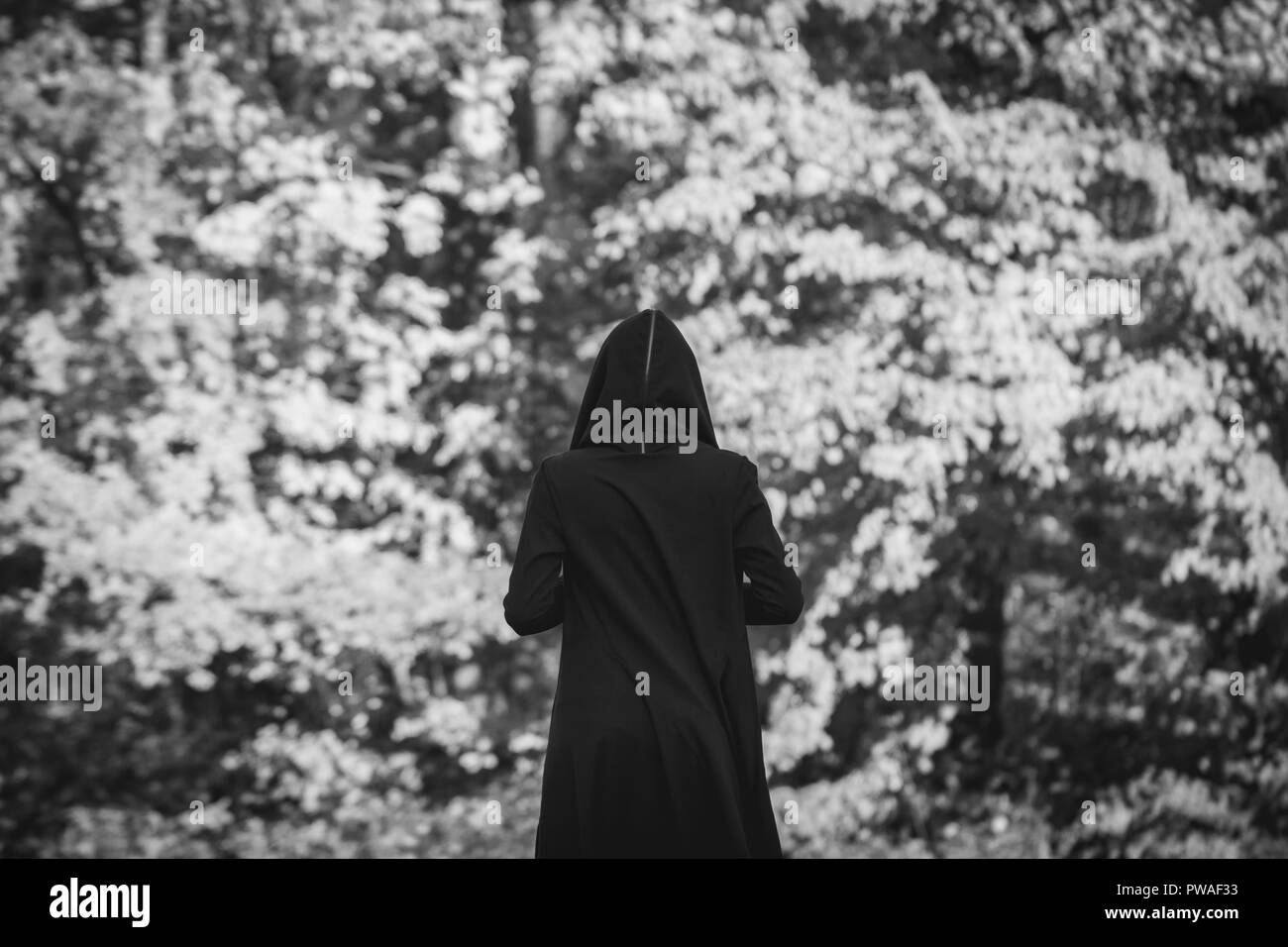 Vista dal retro su una strega nera in un manto rimane in una foresta. In bianco e nero di moody fotografia. Il concetto di Halloween e la stregoneria. Foto Stock