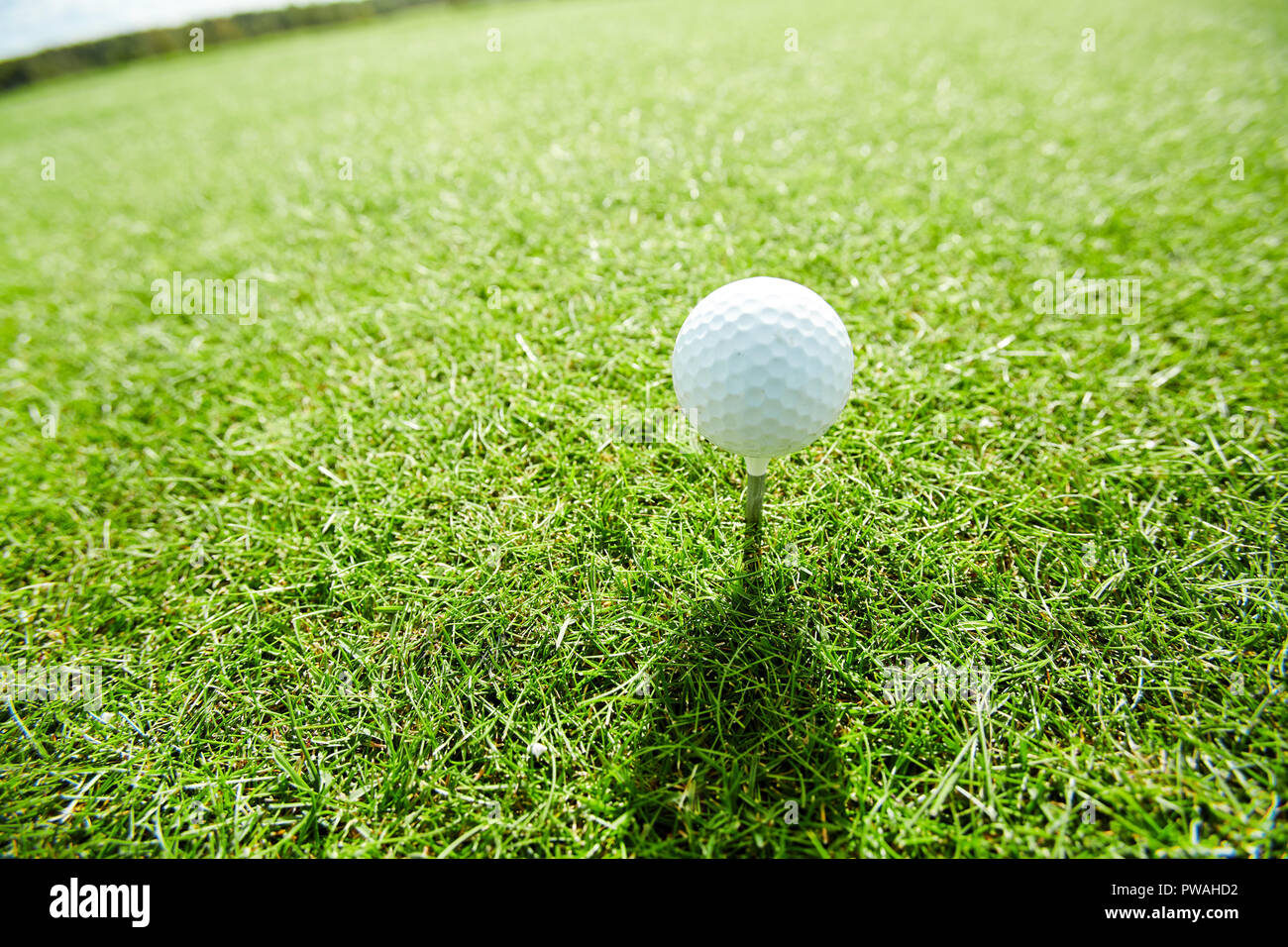 Palla da golf sul tee facendo ombra sul verde campo di gioco sulla summer weekend Foto Stock