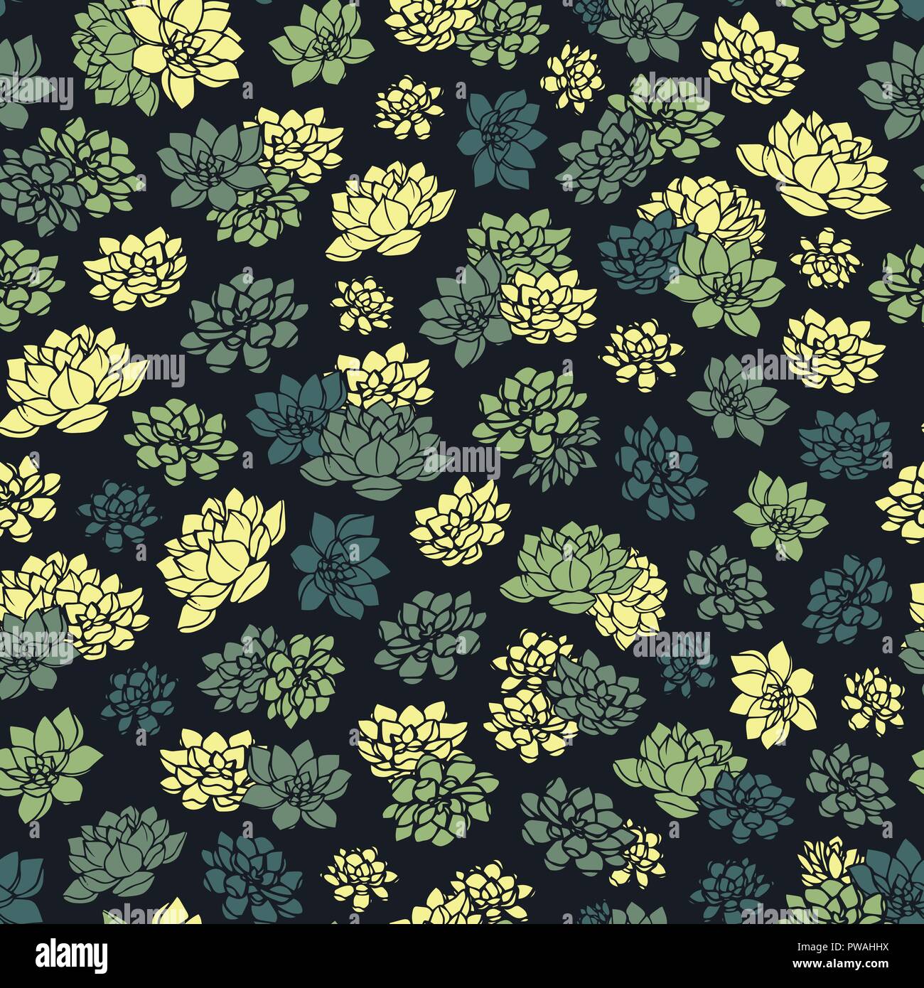 Colorati disegnati a mano vector succulente modello senza cuciture in colori verdi su sfondo nero. Design floreale. Illustrazione Vettoriale