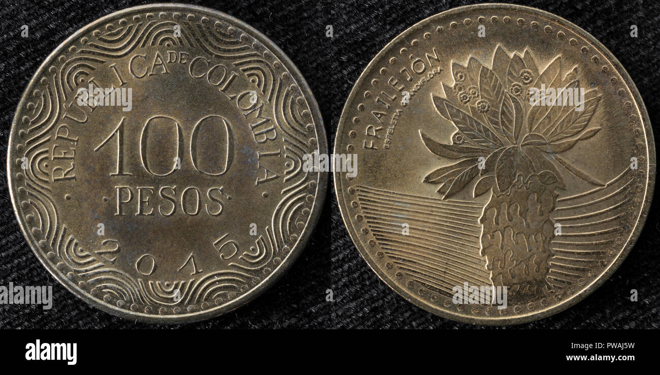 100 pesos coin, frailejon, Espeletia schultzii, Colombia, 2015 Foto Stock