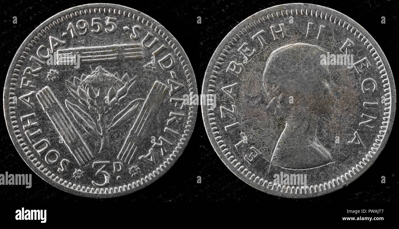 3 pence coin, Repubblica del Sud Africa, 1955 Foto Stock