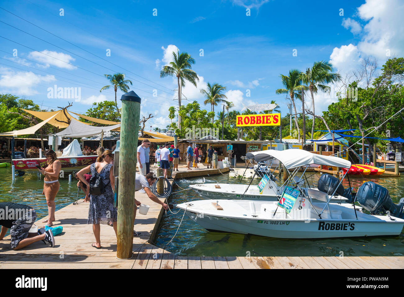 In ISLAMORADA, FLORIDA, Stati Uniti d'America - circa settembre, 2018: turisti si riuniscono su un dock di pesca per alimentare tarpon in corrispondenza di un bordo strada marina in Florida Keys. Foto Stock