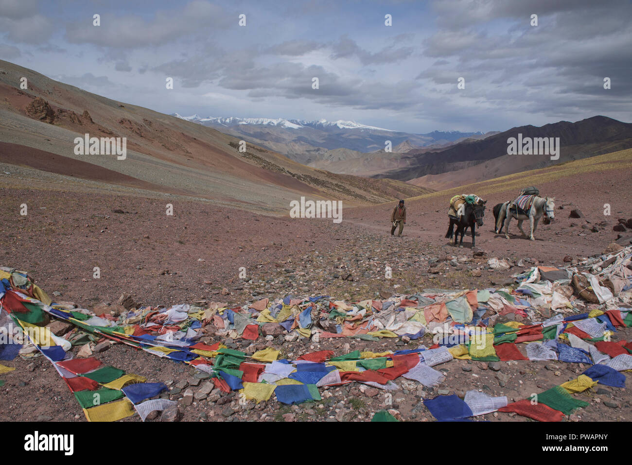 Attraversando il misuratore 5200 Kyamar La Pass mentre trekking a cavallo a Tso Moriri, Ladakh, India Foto Stock