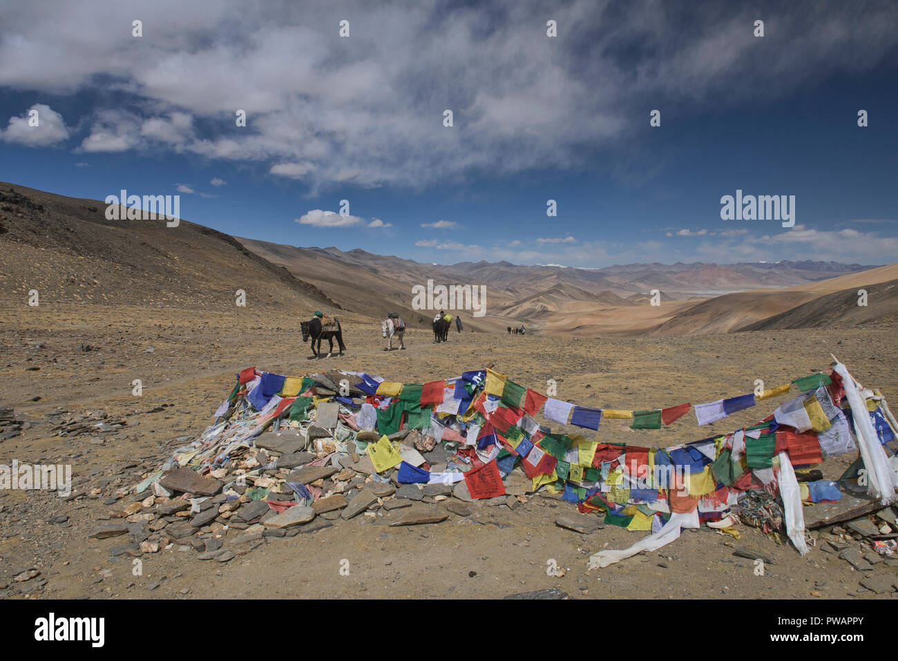 Attraversando il misuratore 5430 Kyamayuri La Pass mentre trekking a cavallo a Tso Moriri Lake, Ladakh, India Foto Stock