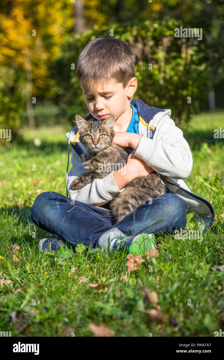 Happy little boy in autunno park con pet gattino. Foto Stock