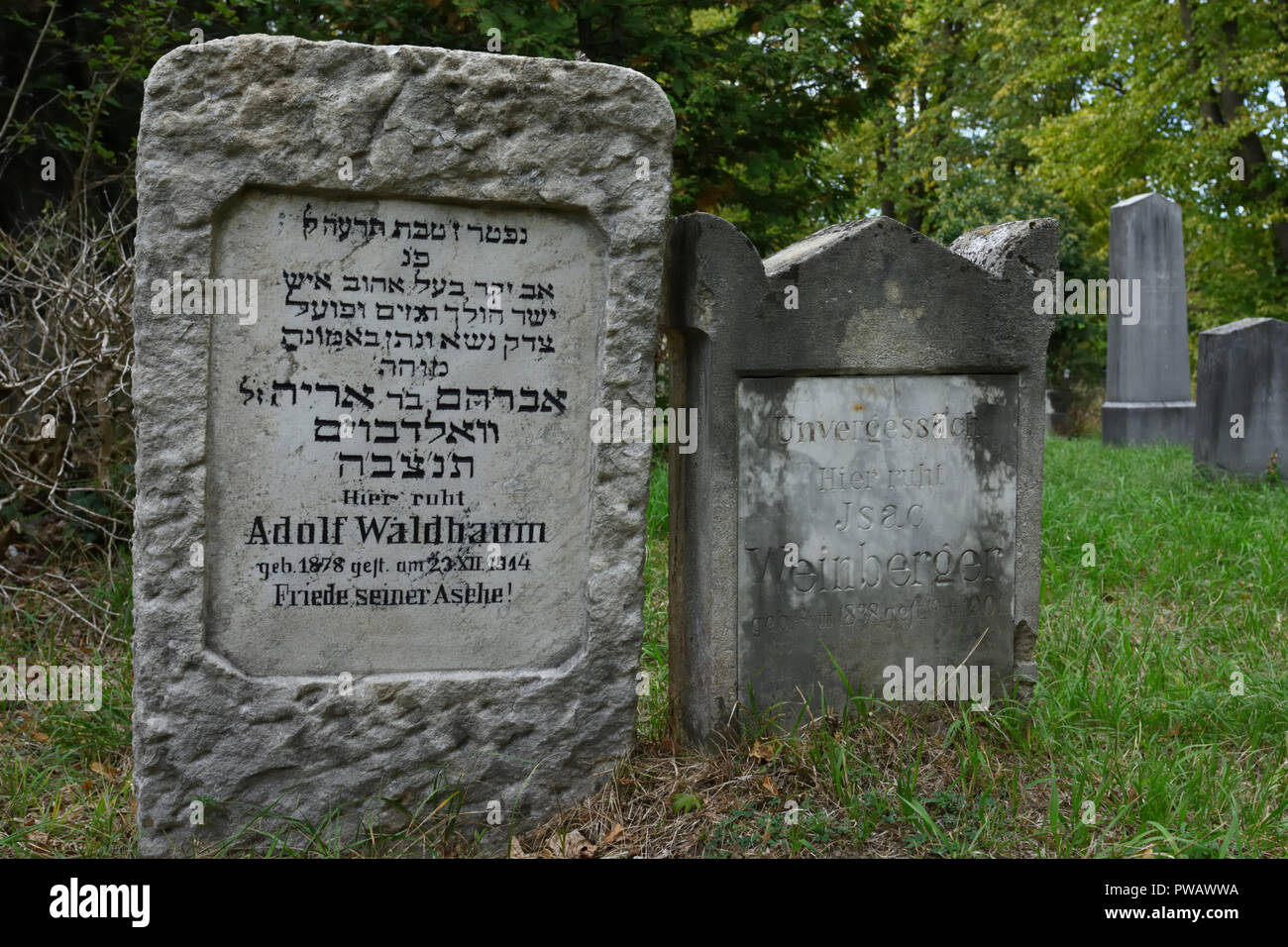 Vienna, Austria. Cimitero centrale di Vienna. Il dipartimento ebraico nel cimitero centrale di Vienna Foto Stock