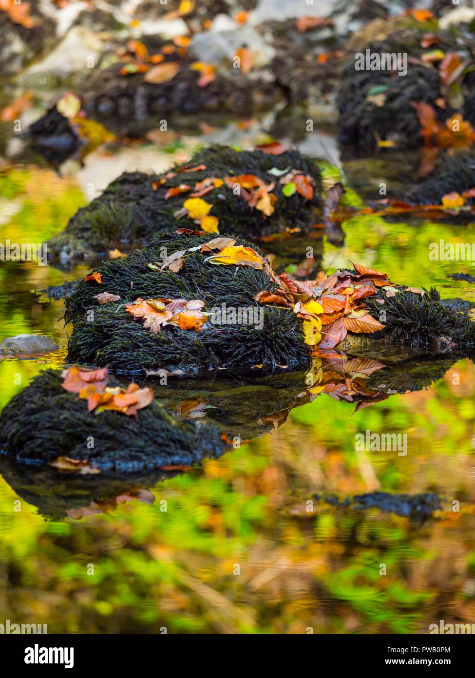 Paesaggio autunnale natura caduta foglie sulle rocce Foto Stock