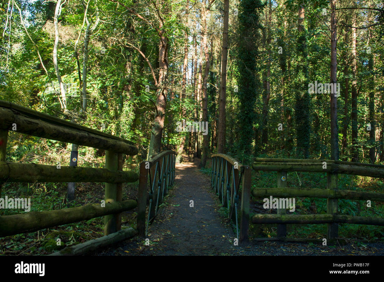 Stormont Estate East Belfast County Down Irlanda del Nord Foto Stock