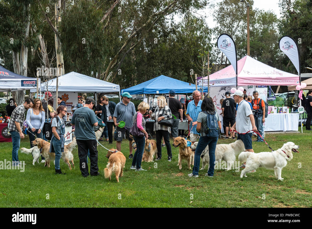 Huntington Beach, Stati Uniti d'America. Xiv oct, 2018. Huntington Beach, CA. Centinaia di Golden Retrievers a raccogliere l'Huntington Central Park per la seconda edizione di Goldie Palooza evento, beneficiando di salvataggio nella zona di Los Angeles e Puerto Rico domenica 14 ottobre, 2018. Credito: Benjamin Ginsberg/Alamy Live News Foto Stock