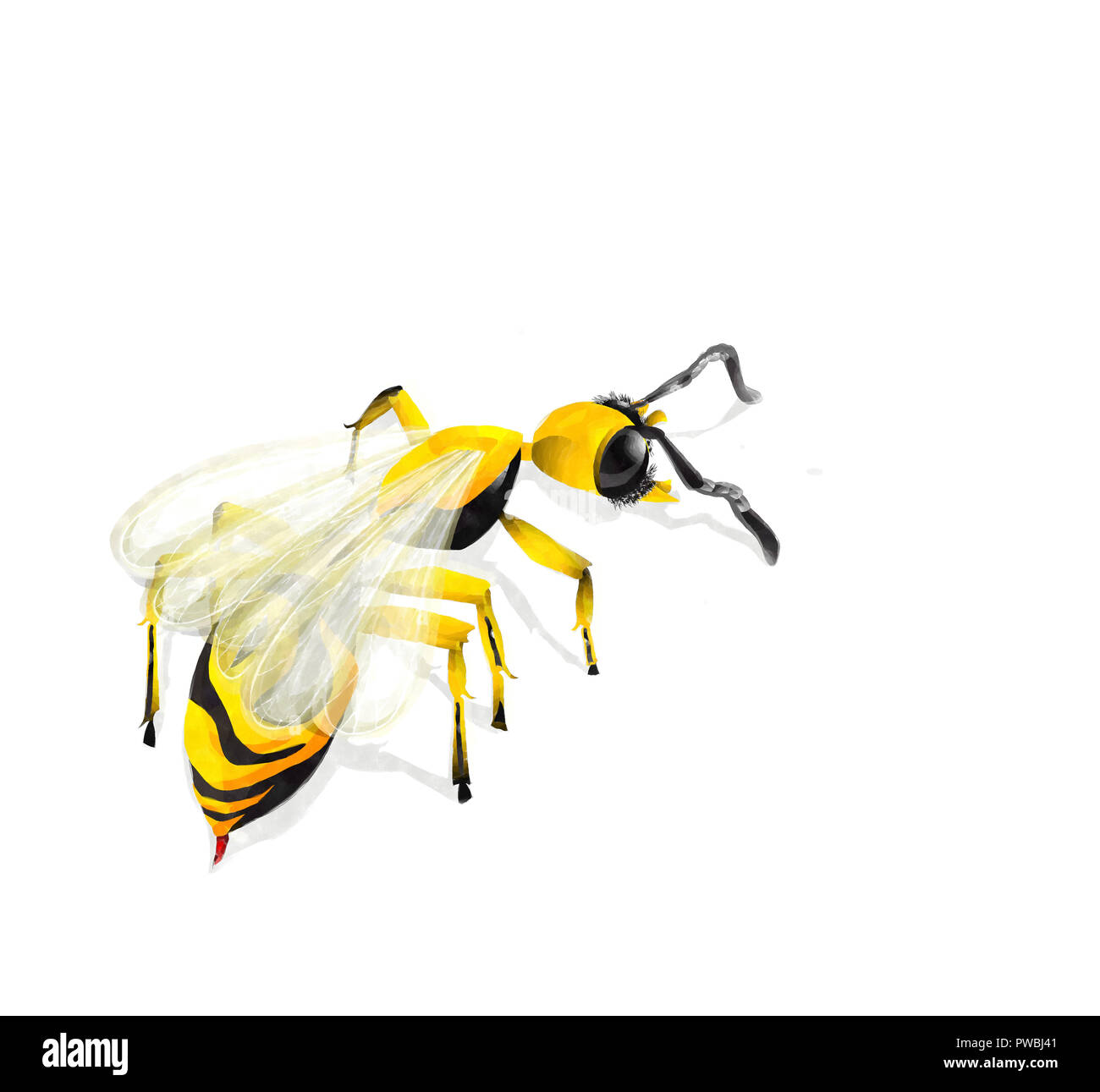 Acquerello wasp illustrazione su sfondo bianco Foto Stock