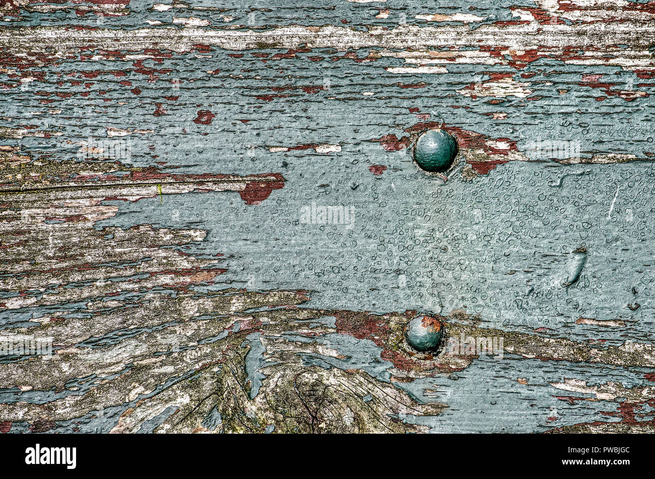 Weathered tavolato in legno con due bulloni in acciaio e con peeling azzurro rivelando di vernice bianco, rosso e marrone a strati sotto Foto Stock