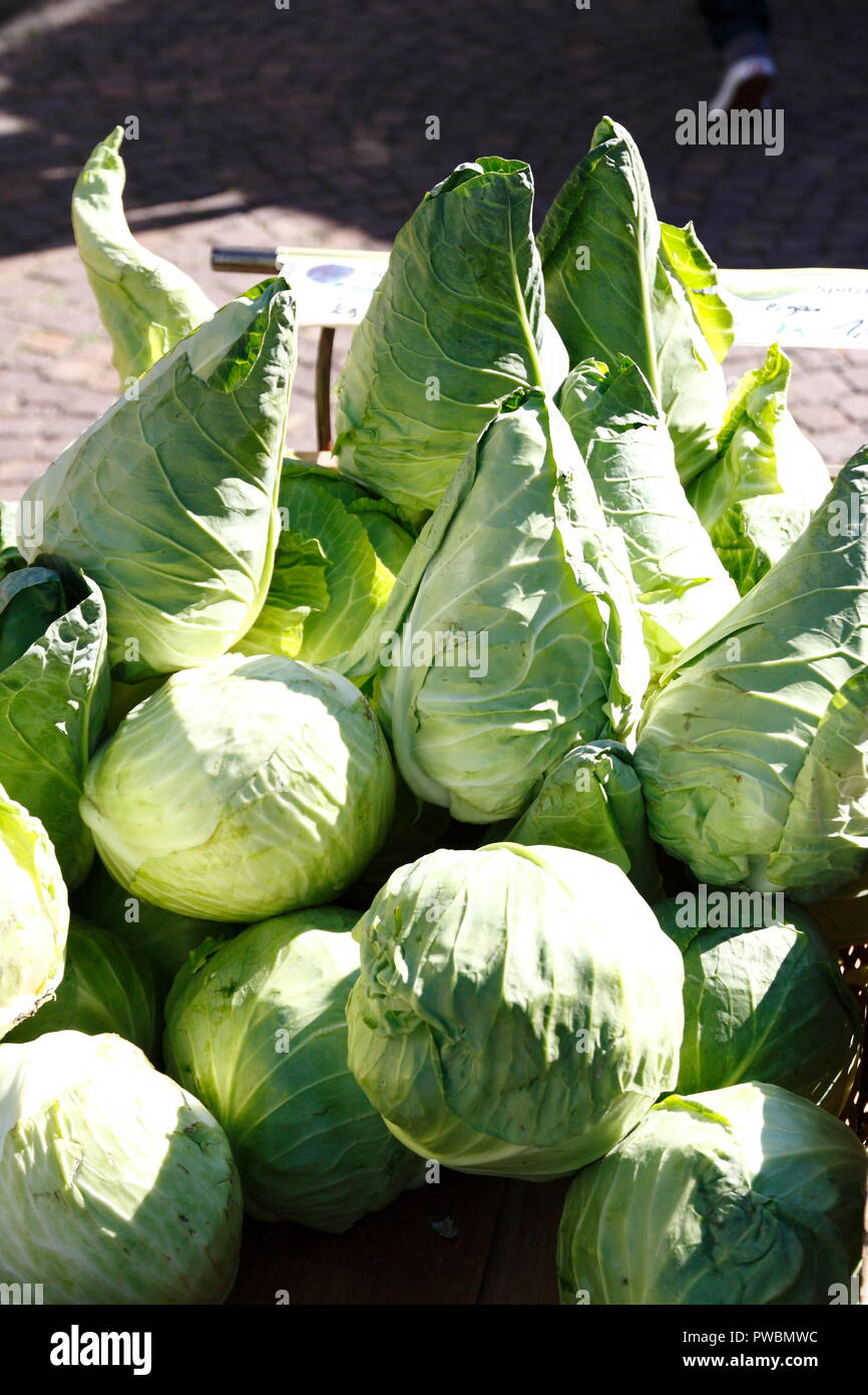 Grüner Spitzkohl und Weißkohl Kohl in einem großen Weidenkorb Foto Stock