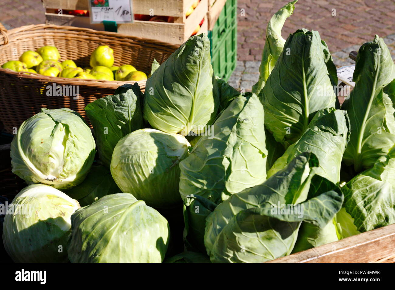 Grüner Spitzkohl und Weißkohl Kohl in einem großen Weidenkorb Foto Stock