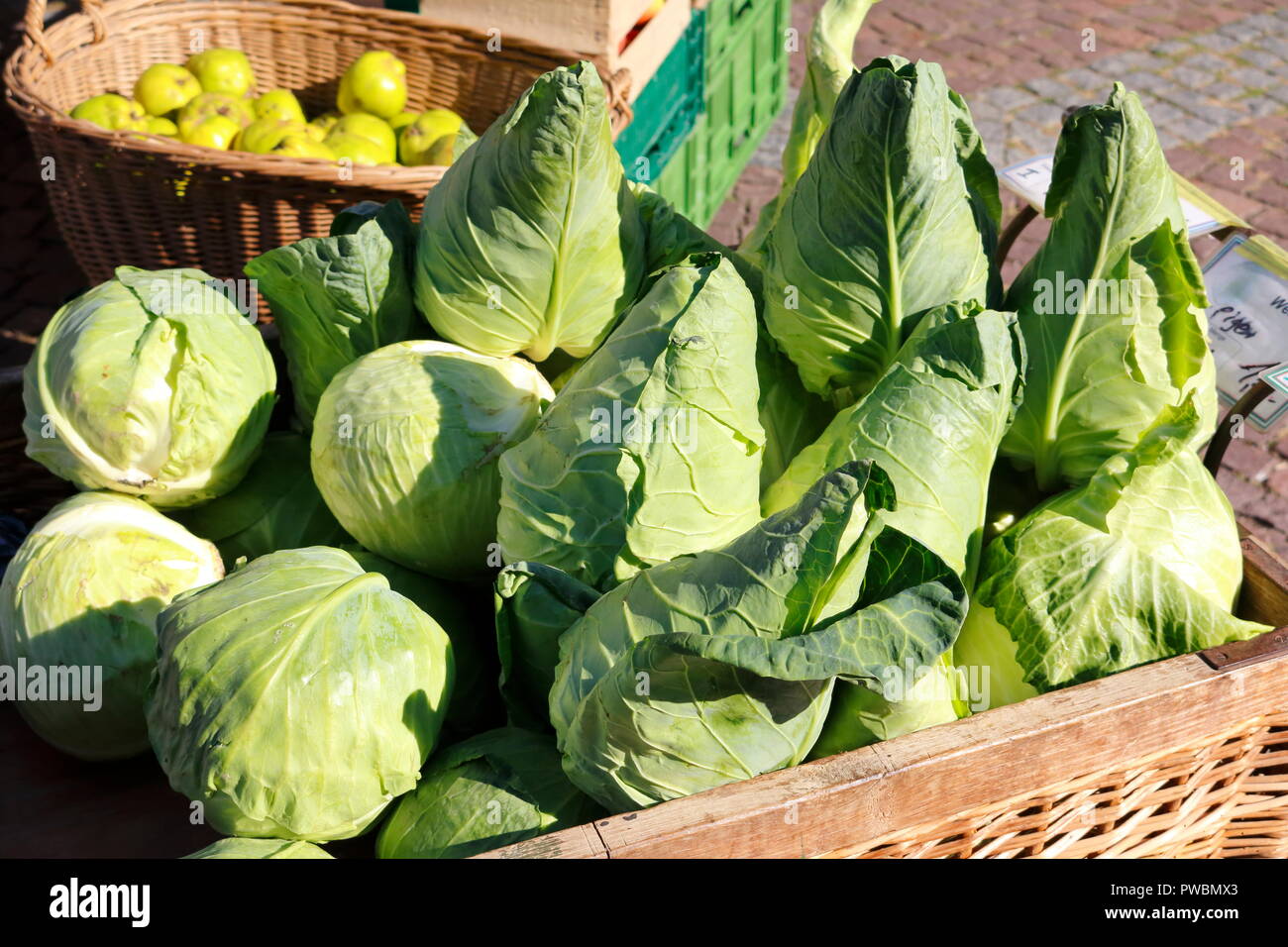 Grüner Spitzkohl und Weißkohl Kohl in einem großen Weidenkorb Foto Stock