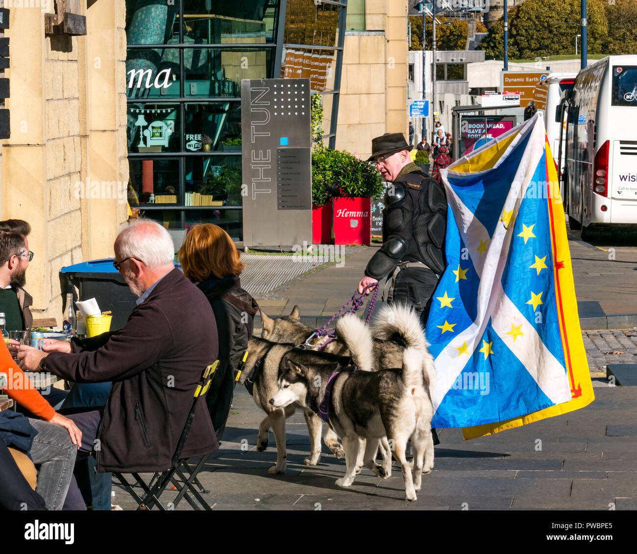 Uomo con si intraversa bandiera dell'Unione europea e cani husky dopo tutti sotto uno striscione indipendenza scozzese marzo, Holyrood, Edimburgo, Scozia, Regno Unito Foto Stock